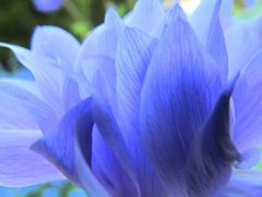 Ek Photo & Art Layers of blue