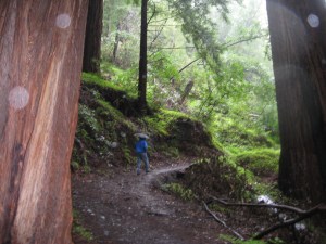 Photo DJBrasket Rainiy day in Big Sur