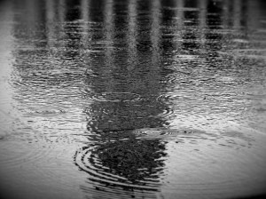 Cc Photo by El Struthio flickr-2814433143-original