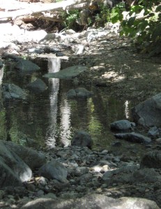 Photo DBrasket IMG_2741