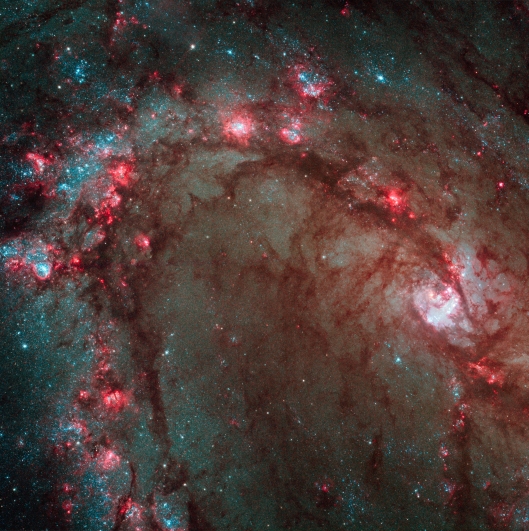 Star_birth_in_Messier_83_(captured_by_the_Hubble_Space_Telescope)