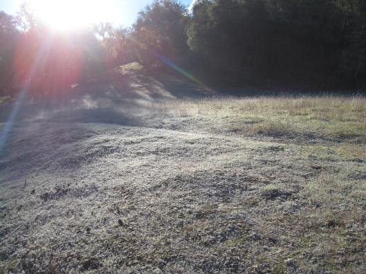 Frosty Meadow DBrasket Photo IMG_3699