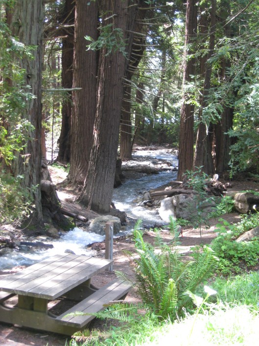 Big Sur and Mothers Day picnic 021