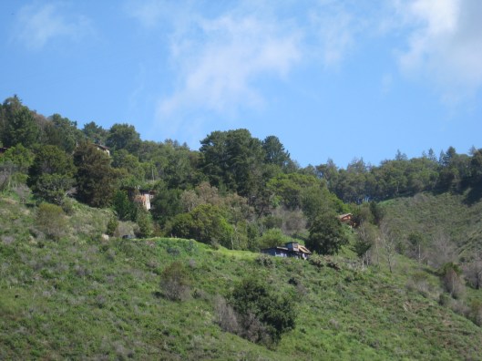 Big Sur and Mothers Day picnic 089