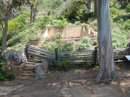 Big Sur and Mothers Day picnic 035