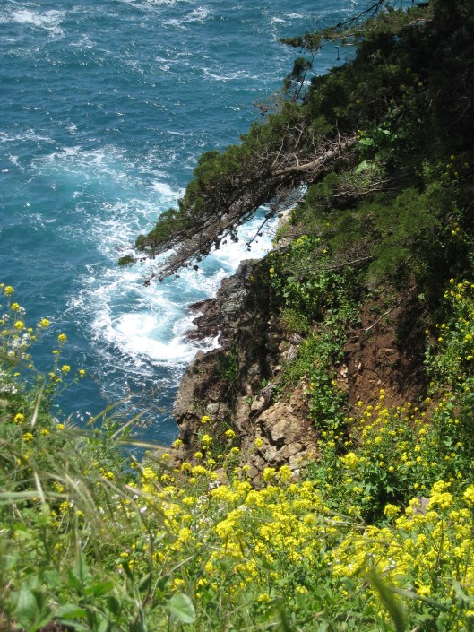 Big Sur and Mothers Day picnic 047