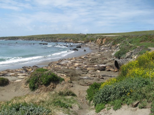 Big Sur and Mothers Day picnic 109