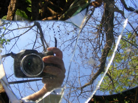 Broken-Mirror-Reflection__Public domain 31441-480x360