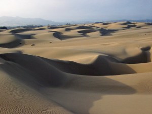 Sand_dunes_-_Oceano_CA wikipedia