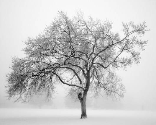 Cc photo by Larry 1732 flickr-6991649439-original